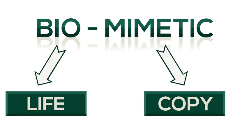 Bio-mimetic